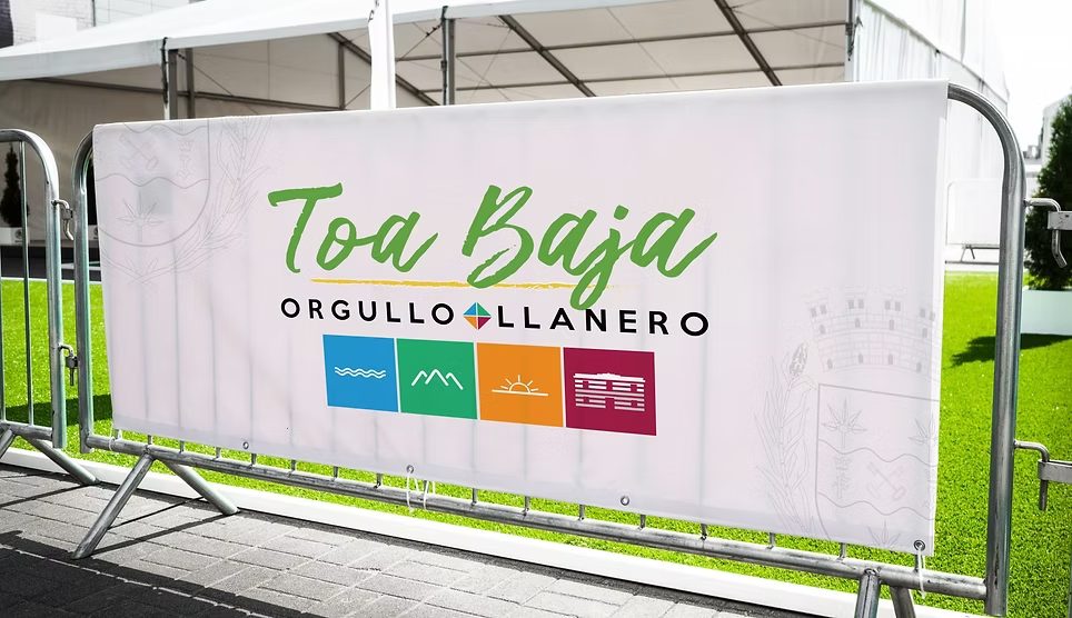 Toabaja Banner
